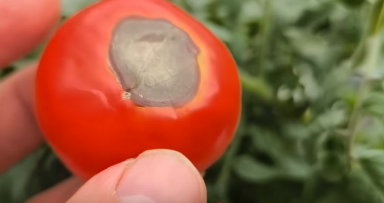 ��������� ����� �������: ��� ������ ������ � �������� ������ ����