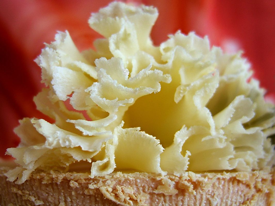 ����� ���� ��������: ����������� ��� �� ��������� ����