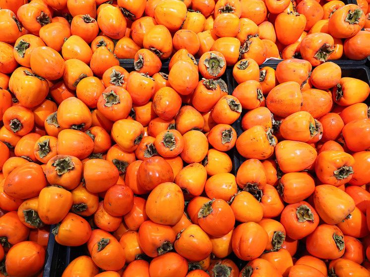 ��� ������� ��������� �����: ������ ��������