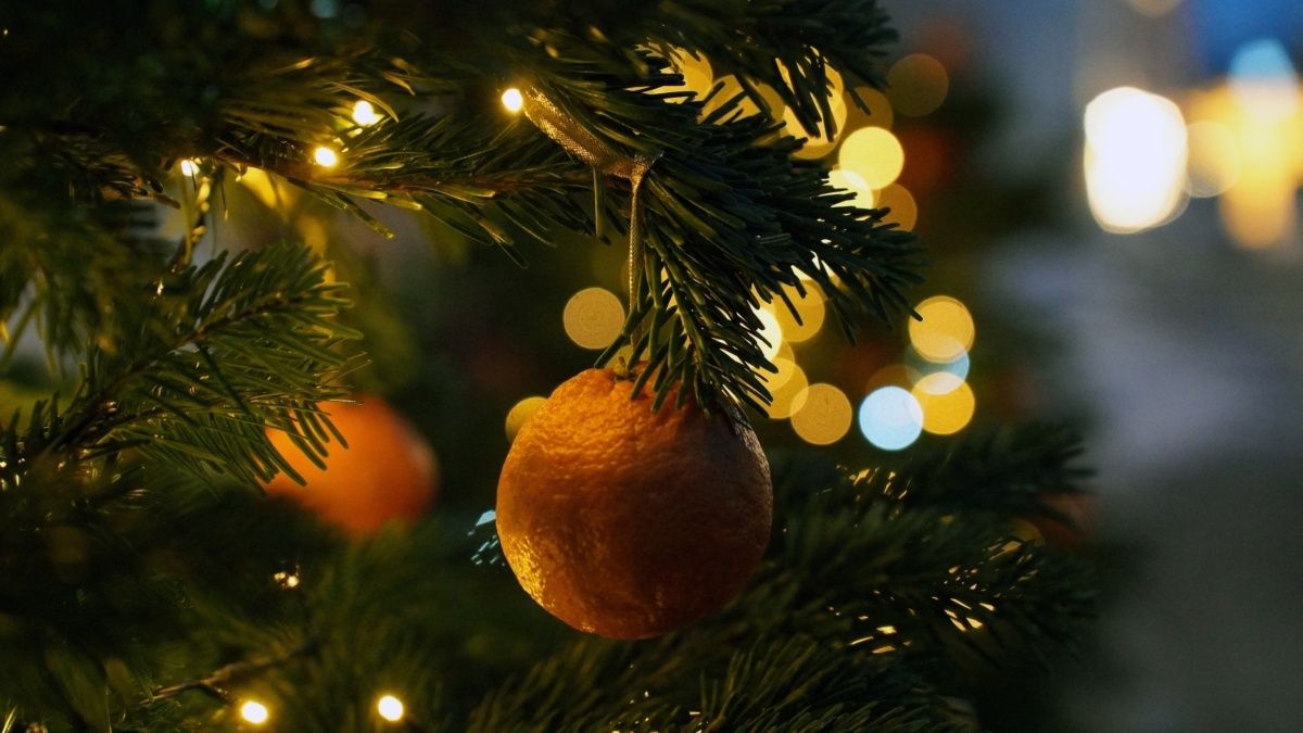 ������� ������ ���������� ��� ����������� �����