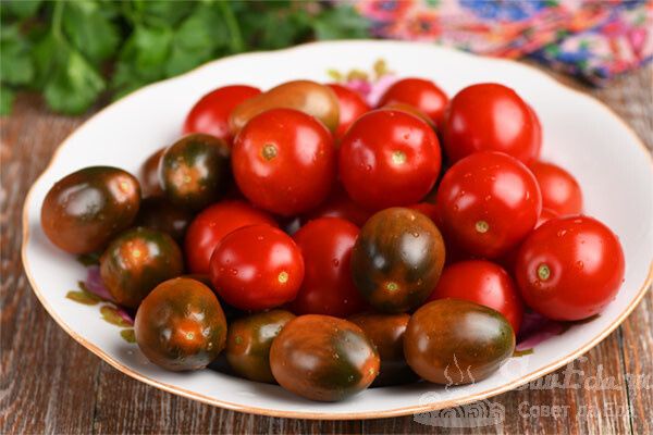 ������ ��������: 5 ��������, ������� ��������� �� ���������� �������