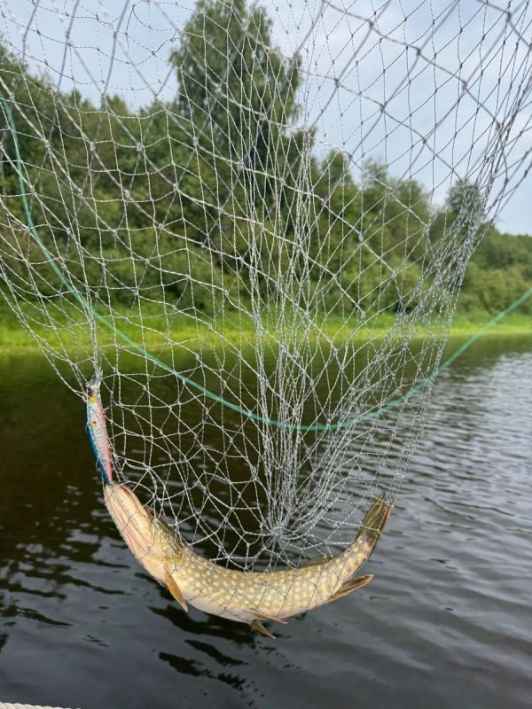 Копим без ограничений: старинный метод на новый лад