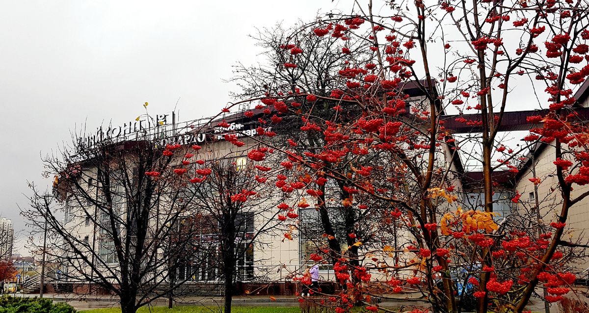 ������� ���� � ��������� ���: ��� ���� ������ � ��������� "�������"