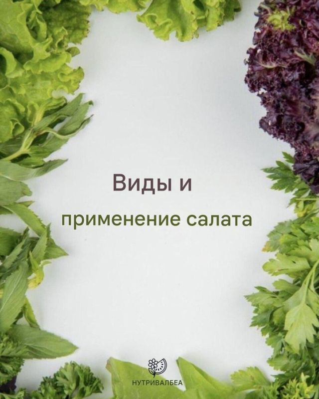 ��� ������� �����: ������� ���� ��� ������������ �����