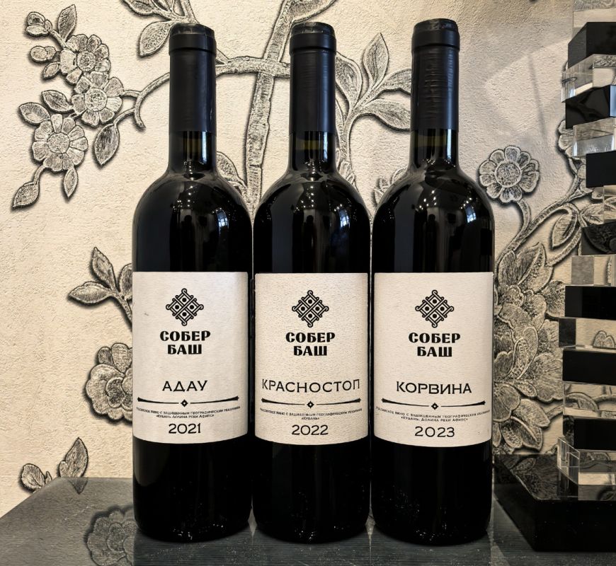 Чёрно-белый Собер Баш: Новый взгляд на классическую линейку