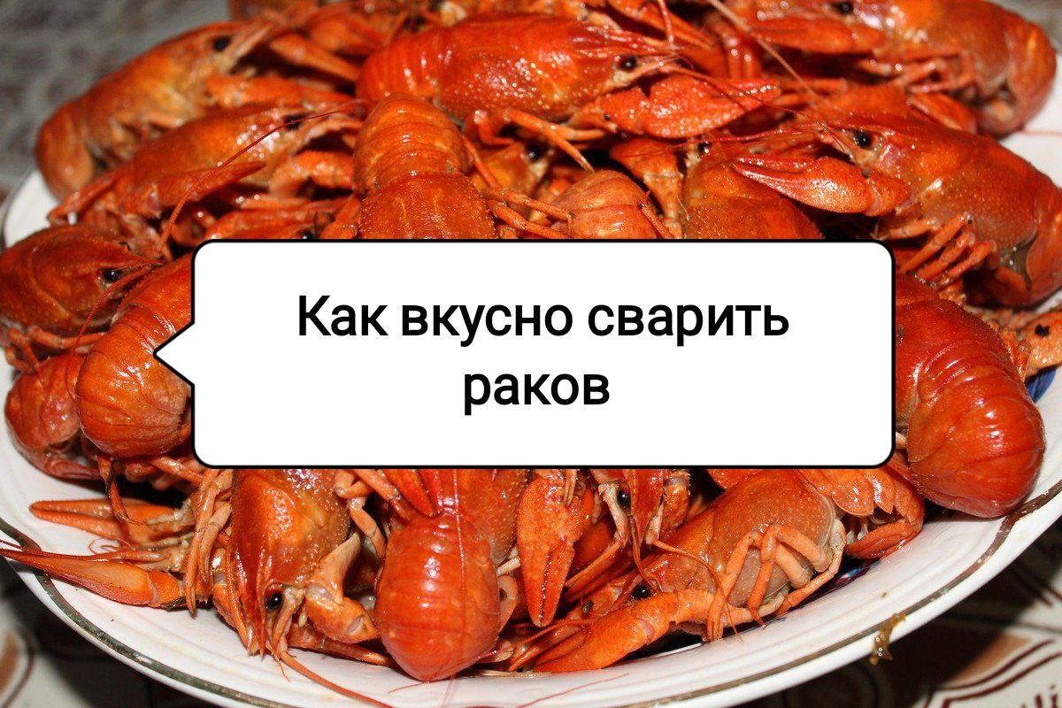 Идеальная варка раков: секреты вкусного блюда