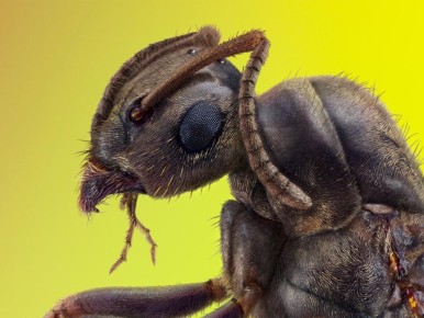 ����������� ������� ������ � ��������� �� �����