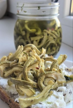 �������, ������� ������� �����: ��������� � ���������� ������