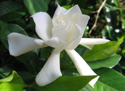 ������������ ��� ������ ������: ��� ����������� �������� ����