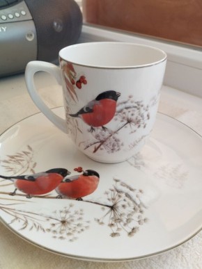 Как снегири завоевали кухню: история о посуде и неожиданной страсти