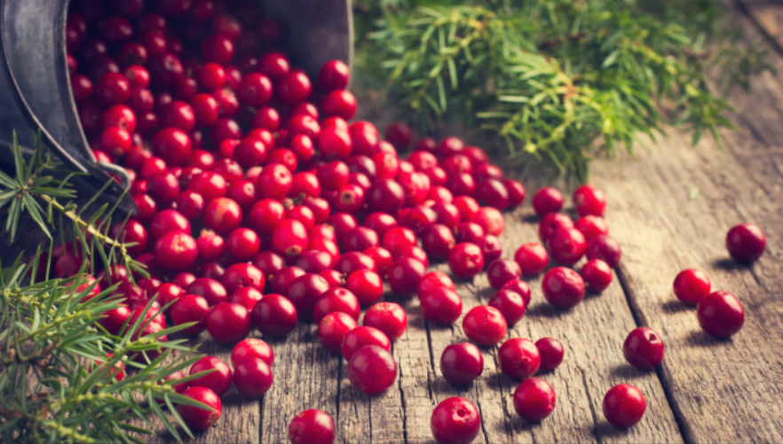Клюква: природный эликсир для здоровья