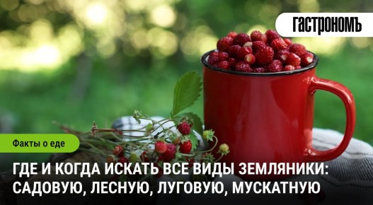 Когда и где можно насладиться земляникой