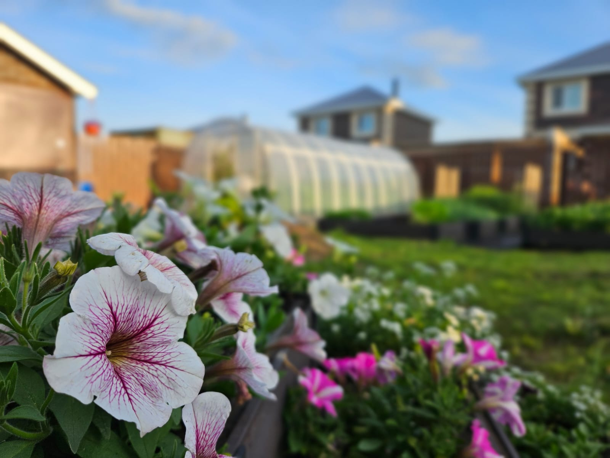 Зимняя подготовка: 5 незаменимых товаров для вашего сада и огорода