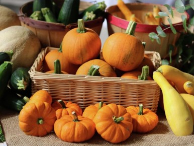 �����: �������� � ����������� ����������