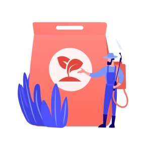 Клубника и кофе под угрозой: новые нормы пестицидов в России