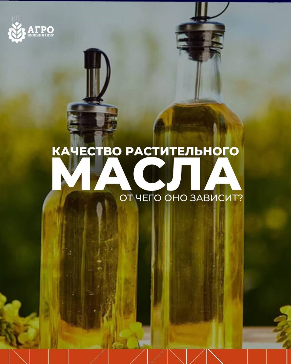 Качество растительного масла: что его определяет?