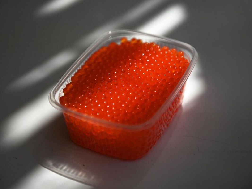 ��� ��������� ������� ������� ����: ������ ��������