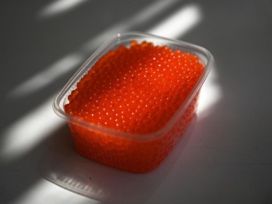 ��� ��������� ������� ������� ����: ������ ��������