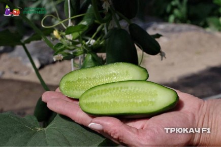 ��� ��������� ������ ������ � ����������� �����