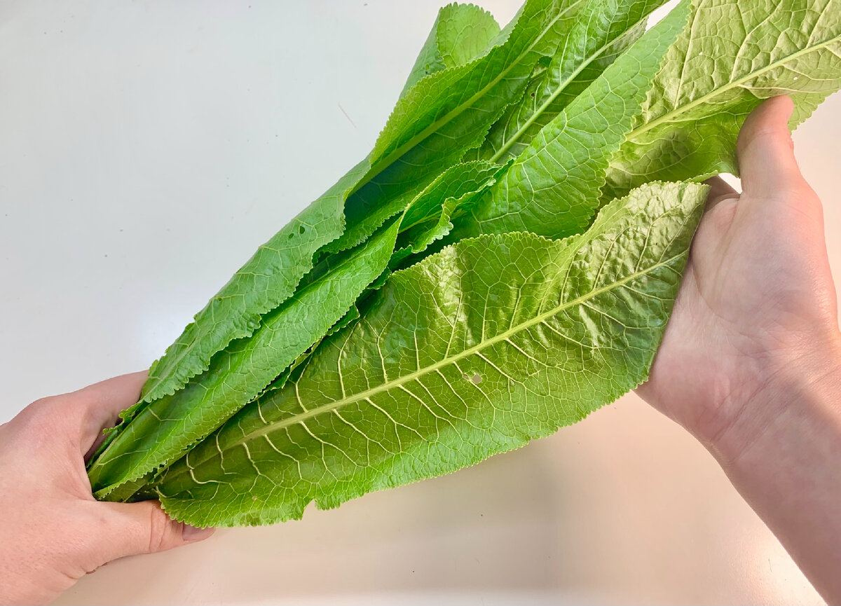 Уникальная приправа из листьев хрена: как улучшить любимые блюда