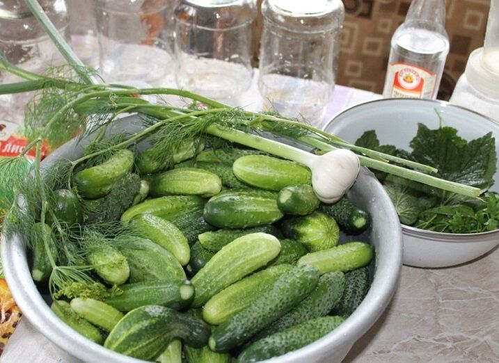 ��� �������� ������������� � ����������������: ������ �� �������������� ������� �����