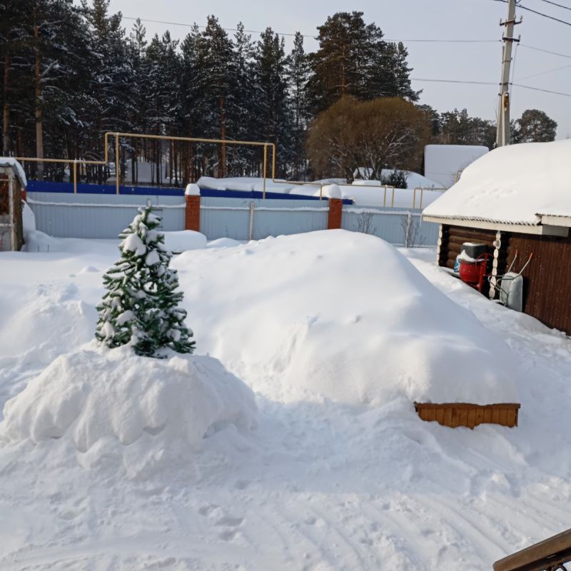 ��������� � �����: ��� ������� ���� ������������ � ������ ������