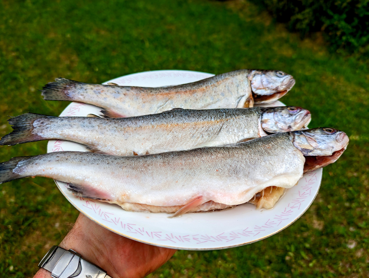 Радужная форель: идеальный подарок для мужчин