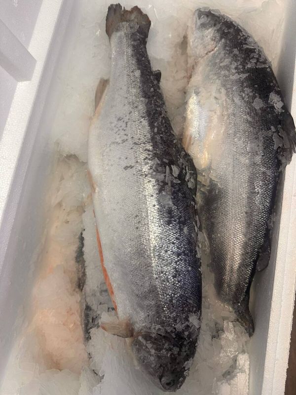 ��������: ���������� �������� ����������� ���������� ������