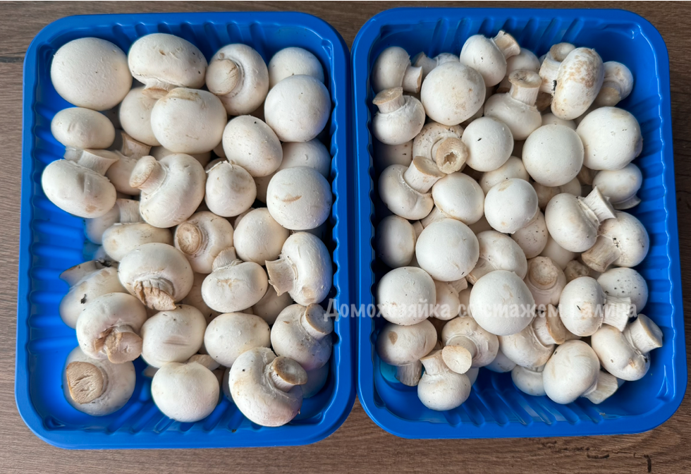 Делаем маринованные шампиньоны: эксперимент с уксусом