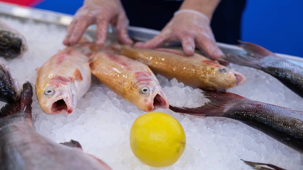 Рынок рыбы уходит в тень: добровольная регистрация не показала успеха