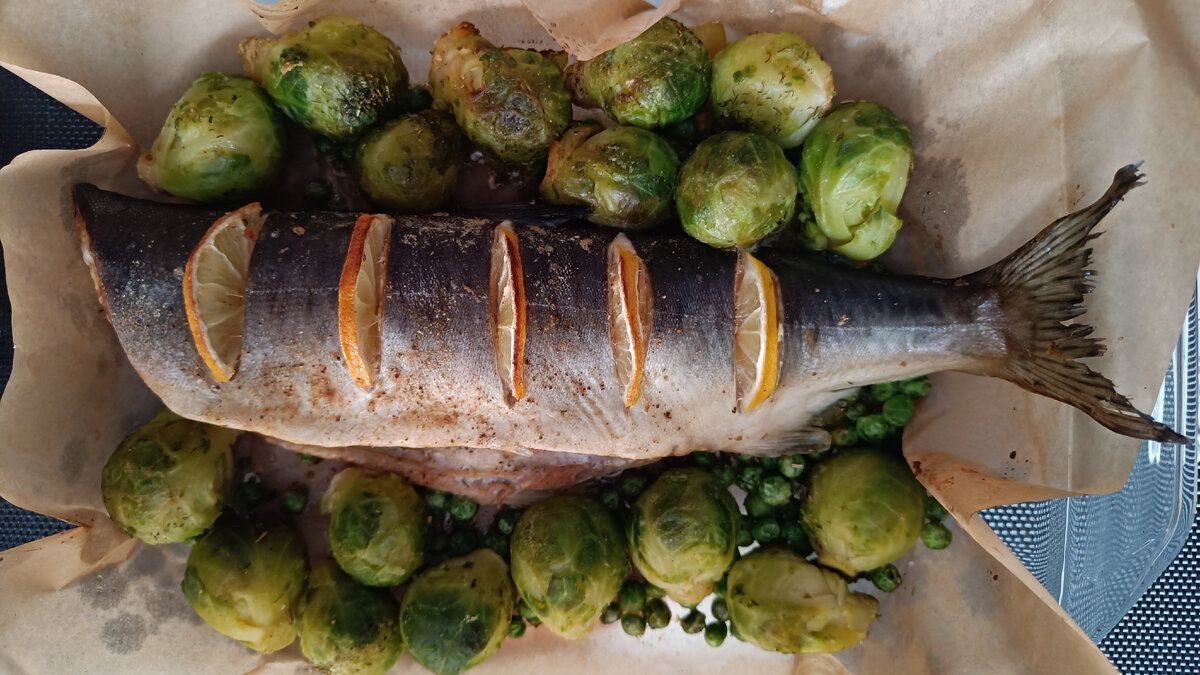 ������� ��������: �������� ������� � ������������ �������� � ������ ��������