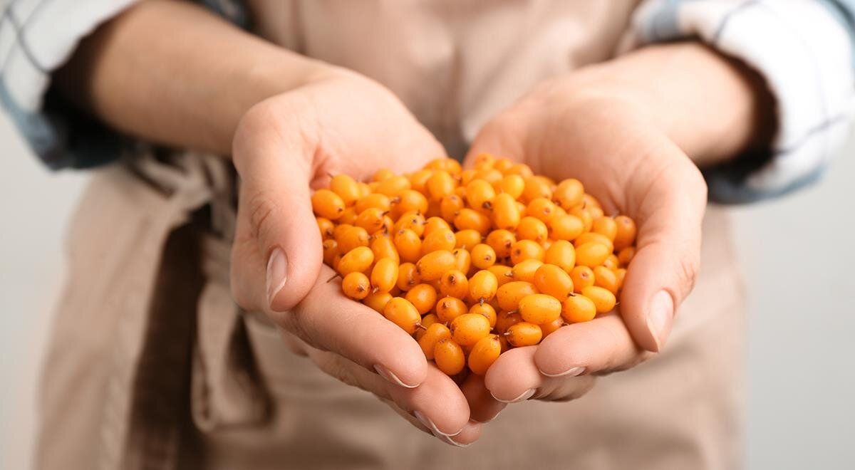 Облепиха: древний суперфуд с удивительными рецептами для здоровья