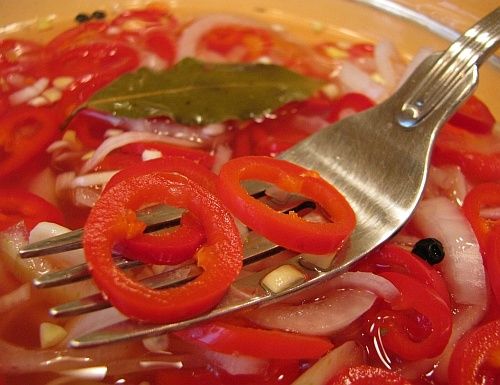 ������ �����: ��� ����������� ��������� �������