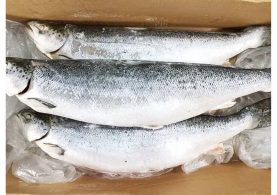 Ѹ���: ���������� ��������� �� ��������� ����