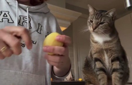 ���-������: �������� ������ � ���������� ��������������