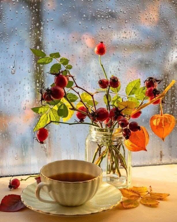 ��� ����� ����������� �� ���������� ������������