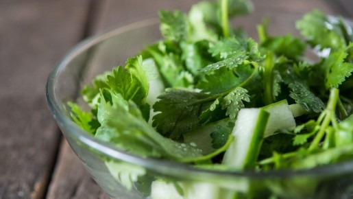 ��������� � ����� �������: �� ��������� �� ����������� ����