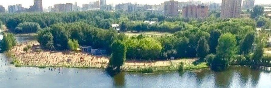 Летние воспоминания: о курице и приключениях на Коптевском рынке