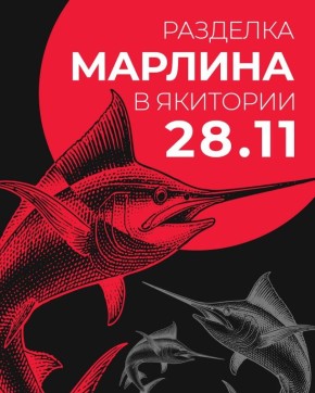 Марлин уже в пути!