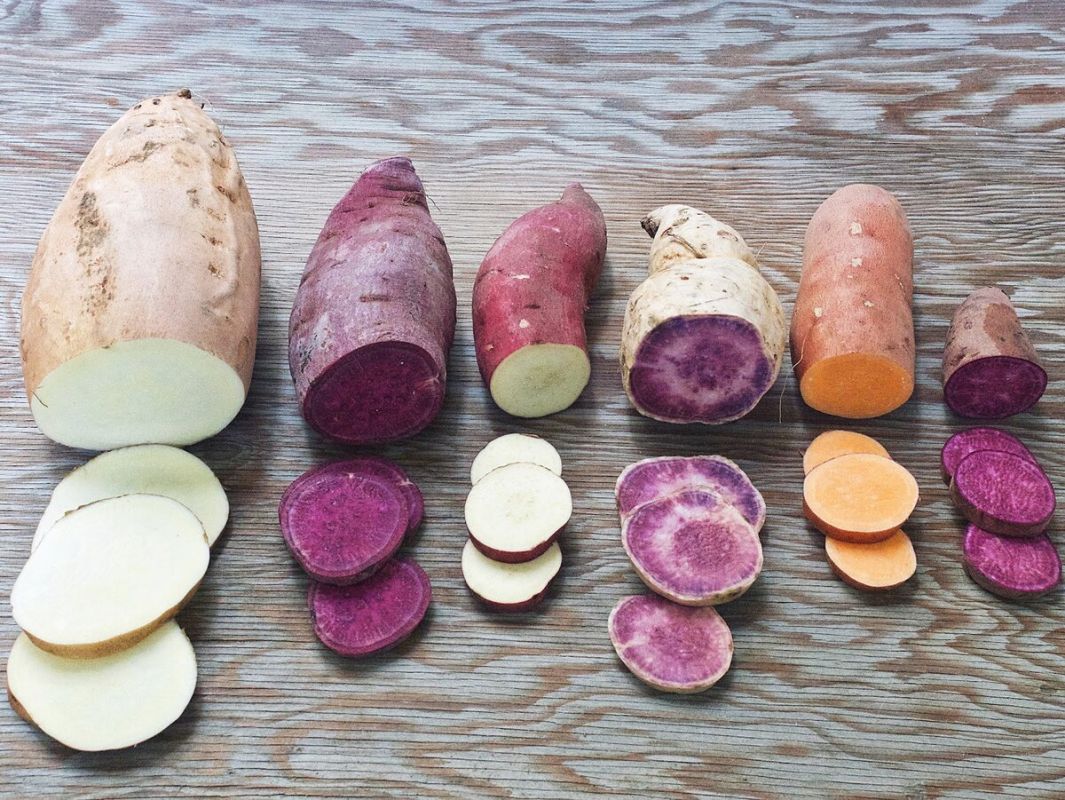 ���������� ����� ��������� � �������: �����, ���� � ������