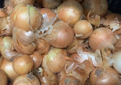 Почему лук и картофель не стоит хранить вместе: советы по сохранению свежести