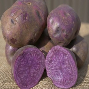 ������� ���������: ������� � ������ ��������� ������