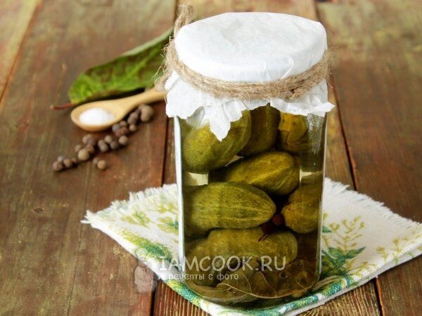 ������������ ������ ��� ������: ������� � ������� ������ �� ����