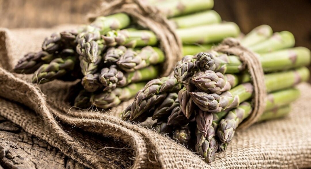 Как спаржа завоевала русский стол: история и традиции