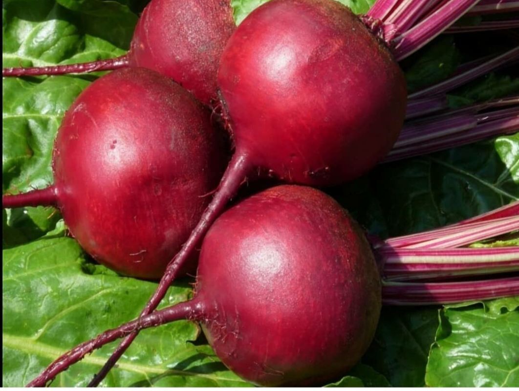 ��� ���������� ����� �� ������������ ��������