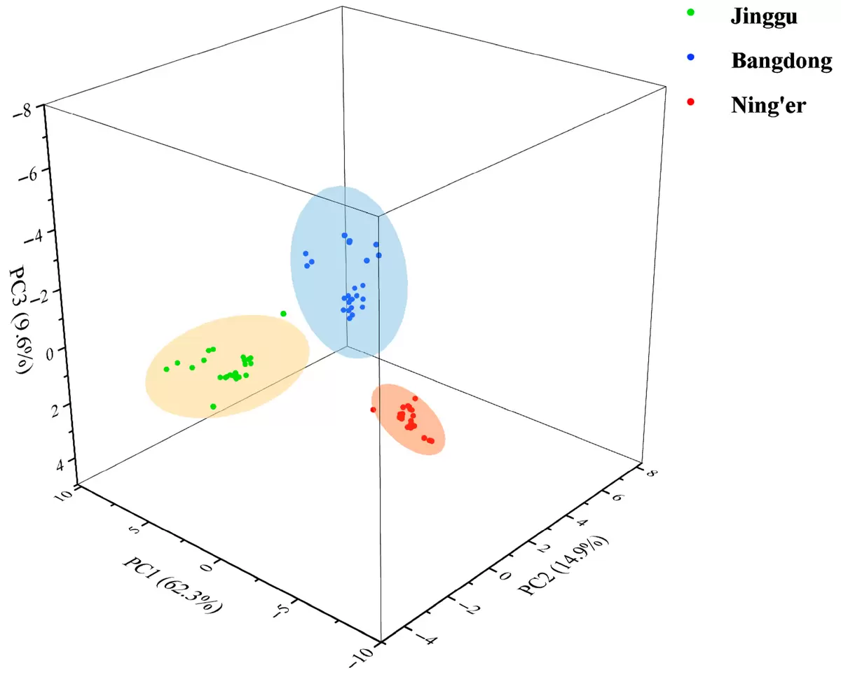 Как региональные особенности влияют на состав пуэра: новые открытия ученых