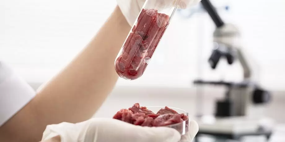 Отказ от мяса: что важно знать, чтобы не навредить здоровью