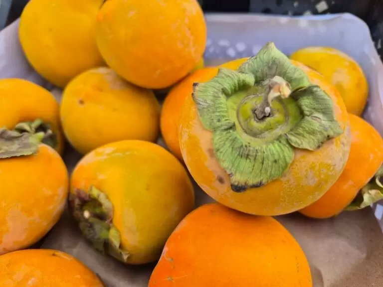 В Оренбуржье остановили ввоз более 100 тонн зараженной хурмы из Узбекистана