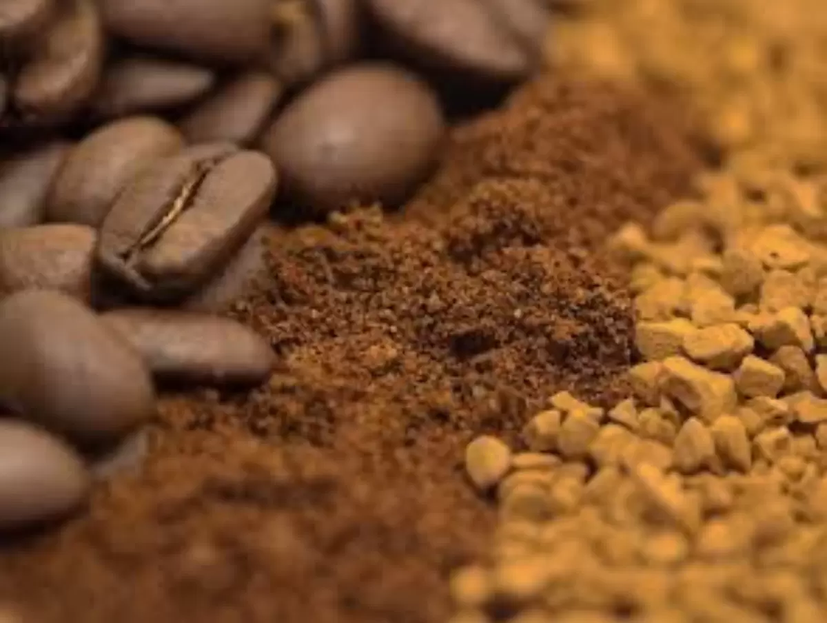 Тайны растворимого кофе: как из зёрен возникает любимый напиток миллионов