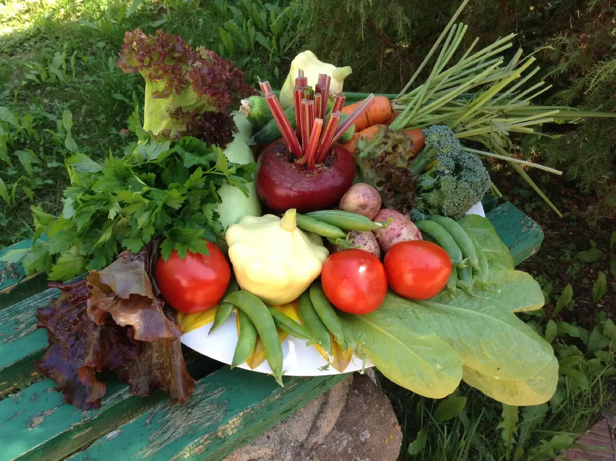 Секреты успешного огорода: что сажать в городском саду?